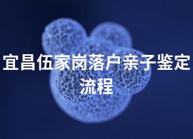 宜昌伍家崗落戶親子鑒定流程