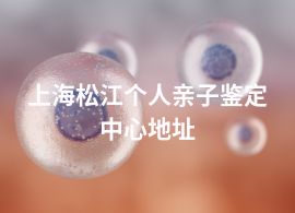 上海松江個人親子鑒定中心地址
