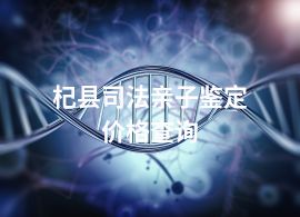 杞縣司法親子鑒定價格查詢