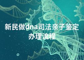 新民做dna司法親子鑒定辦理流程