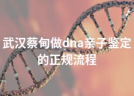武漢蔡甸做dna親子鑒定的正規(guī)流程