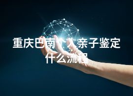 重慶巴南個(gè)人親子鑒定什么流程