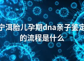 寧洱胎兒孕期dna親子鑒定的流程是什么