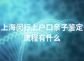 上海閔行上戶口親子鑒定流程有什么