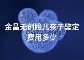 金昌無創(chuàng)胎兒親子鑒定費用多少