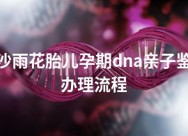 長(zhǎng)沙雨花胎兒孕期dna親子鑒定辦理流程