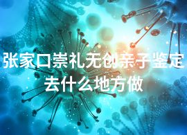 張家口崇禮無創(chuàng)親子鑒定去什么地方做