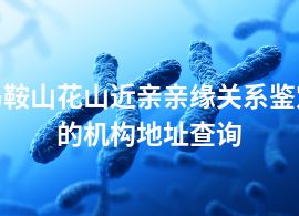 馬鞍山花山近親親緣關(guān)系鑒定的機(jī)構(gòu)地址查詢(xún)