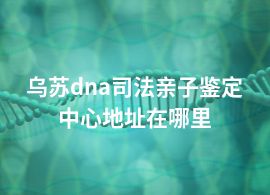 烏蘇dna司法親子鑒定中心地址在哪里