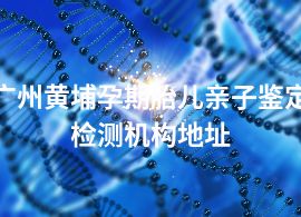 廣州黃埔孕期胎兒親子鑒定檢測機(jī)構(gòu)地址