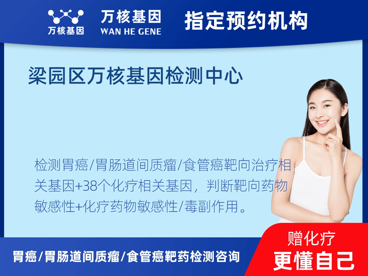 胃癌/胃腸道間質(zhì)瘤/食管癌靶藥51基因+PD-L1+MSI檢測