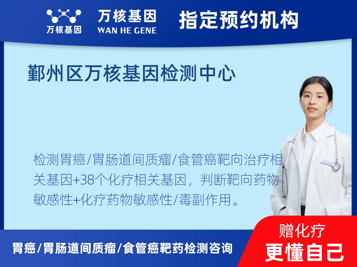 胃癌/胃腸道間質(zhì)瘤/食管癌靶藥25基因檢測(cè)